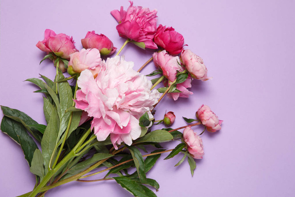 A bouquet of pink peonies lies on a lilac background. - Photo, Image