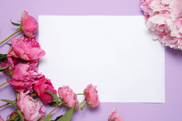 A sheet of paper framed by peonies on a lilac background. - 写真・画像