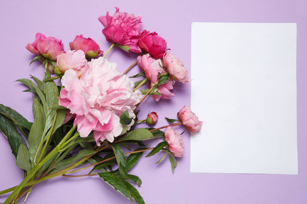 A bouquet of pink peonies and a sheet of white paper lies on a lilac background. - Foto, afbeelding