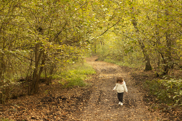 Тоддлер девушка, идущая одна по тропе в осеннем пейзаже
 - Фото, изображение