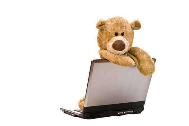 Teddy Bear and modern silver laptop - Fotoğraf, Görsel