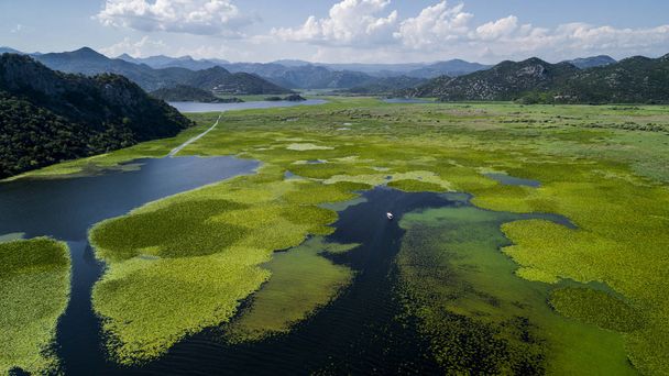Vista aérea del hermoso paisaje del lago Skadar en la montaña en un día soleado. Montenegro. El territorio del lago Skadar cubierto de plantas
. - Foto, Imagen