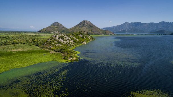 Aerial view of the beautiful landscape of Lake Skadar in the mountain on a sunny day. Montenegro. The territory of Lake Skadar overgrown with plants. - Photo, Image