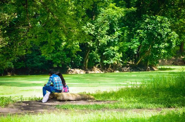 Kahden iloisen nuoren rakastavan parin muotokuva, joka istuu vihreässä syyspuistossa romanttisena kesäpäivänä. Häitä edeltävä kihlajaiskonsepti. Vaihdettavuus koostumus. Kasvitieteellinen puutarha, Kolkata, Intia
 - Valokuva, kuva