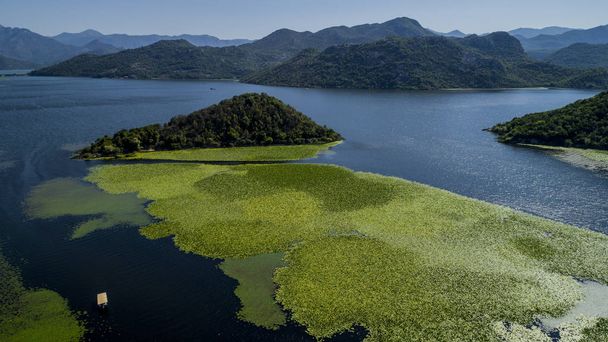 Vue aérienne du magnifique paysage du lac Skadar dans la montagne par une journée ensoleillée. Monténégro. Le territoire du lac Skadar recouvert de plantes
. - Photo, image