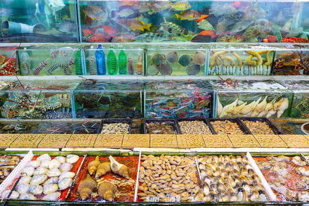 Mercato dei frutti di mare acquario a Sai kung Hong Kong
 - Foto, immagini