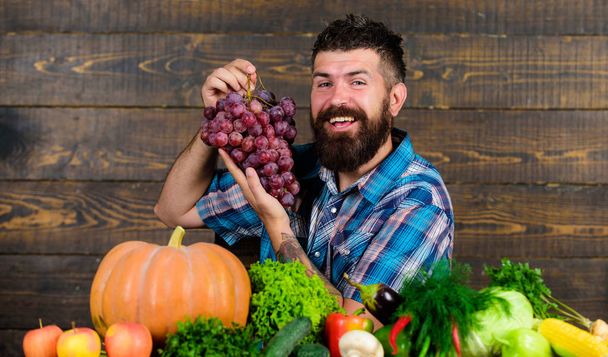 Farmer proud of harvest vegetables and grapes. Farming and harvesting concept. Man bearded holds grapes wooden background. Farmer with homegrown harvest on table. Vegetables organic harvest - Foto, afbeelding