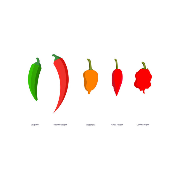 Vector Illustration of Jalapeno, Red Hot Chili Pepper, Habanero, Ghost Pepper, Carolina Reaper. - Vector, Image