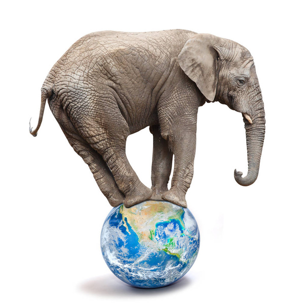 Elefante africano - Loxodonta africana balanceándose en un planeta o globo azul. Metáfora ecológica
. - Foto, imagen
