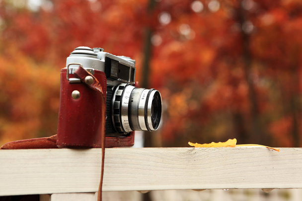 Ретро-камера в осінньому листі
 - Фото, зображення