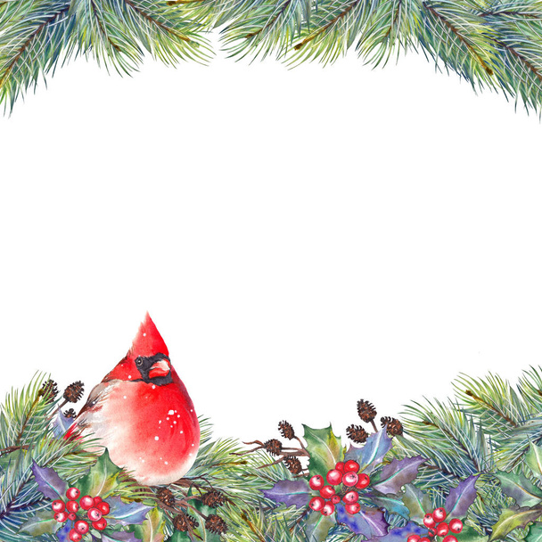 Christmas frame with red northern cardinal bird, holly berries, pine branches, cones and dry twigs. Watercolor on white background. - Photo, image