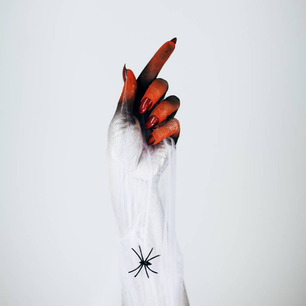 Creepy Halloween monster witch hand with white, red and black make up and long creepy fingernails and spiderweb in front of white background - Foto, immagini