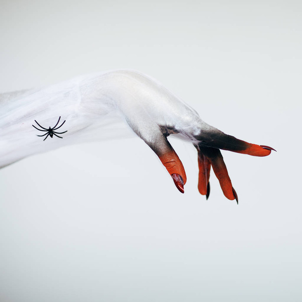 Creepy Halloween monster witch hand with white, red and black make up and long creepy fingernails and spider with spiderweb in front of white background  - Photo, Image