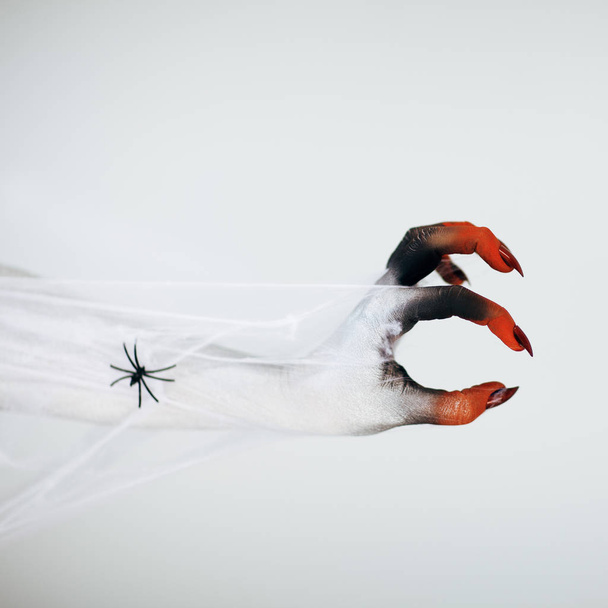 Creepy Halloween monster witch hand with white, red and black make up and long creepy fingernails and spider with spiderweb in front of white background  - 写真・画像