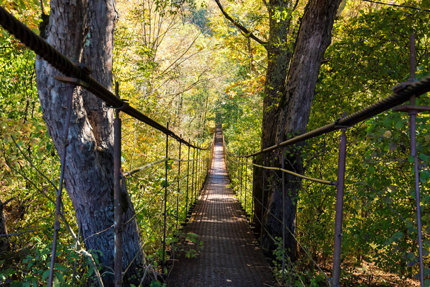 Narrow metal foot bridge across forest in autumn - Photo, Image