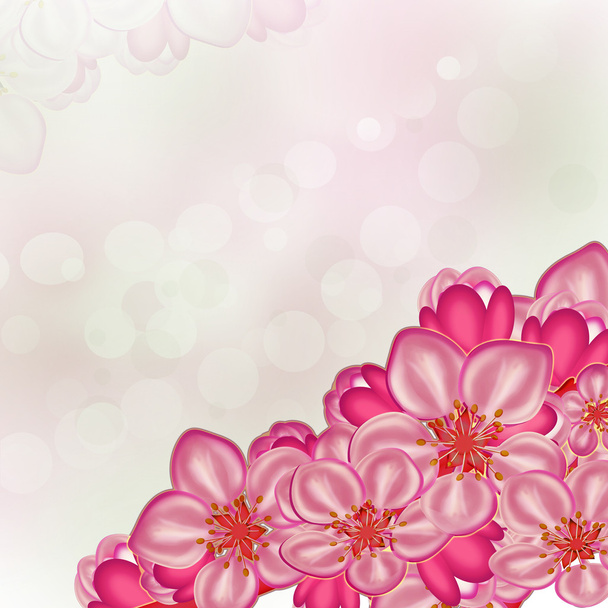 achtergrond van de bloemen van apple - Foto, afbeelding