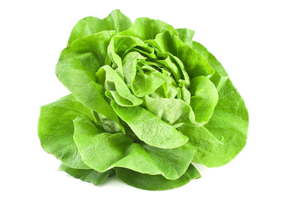 Fresh lettuce - Photo, Image