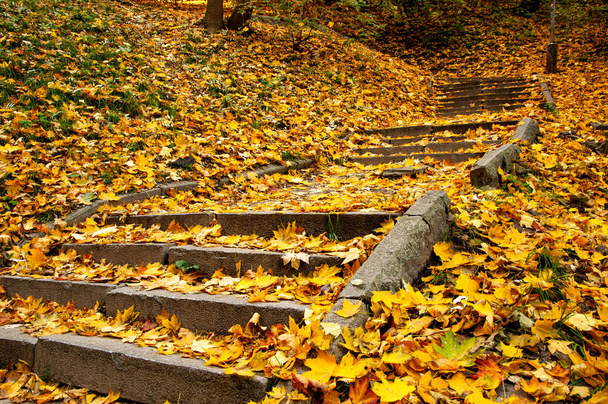 stair covered by autumn fallen leaves in park  - Foto, afbeelding