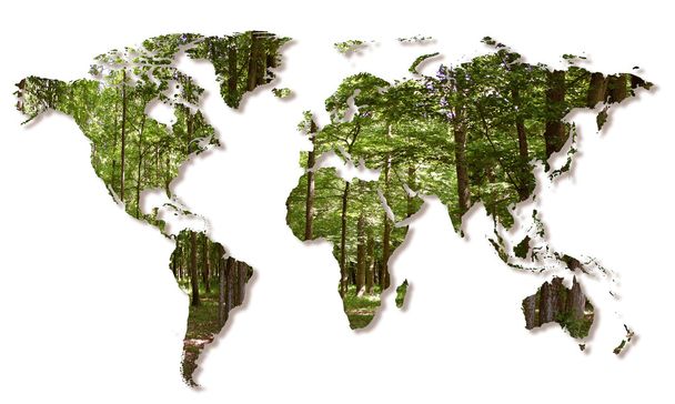 vernietiging van de bossen in de wereld - Foto, afbeelding