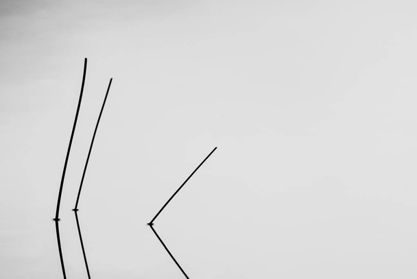 три тростника в силуэте и отражение в тихом и спокойном пруду
 - Фото, изображение