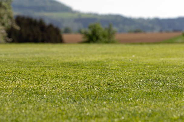 golf course lawn grass player in springtime south german countryside holiday - Zdjęcie, obraz
