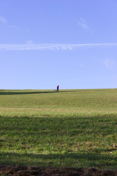 paisaje con el hombre caminando y árbol en el cielo azul en diciembre advenimiento día soleado en el sur de Alemania campo rural cerca de la ciudad munich y stuttgart
 - Foto, imagen