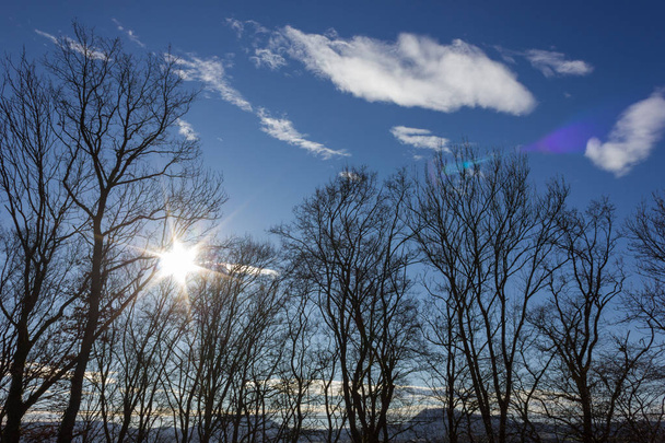diciembre cielo azul con árboles y nubes antes de acercarse a la tormenta en el sur de Alemania campo rural cerca de la ciudad munich stuttgart
 - Foto, imagen