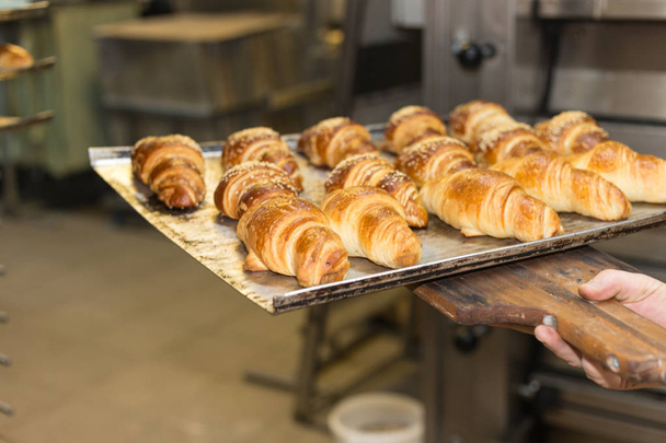leivonnaiset ja leipä uunissa kullanruskealla herkullisella värillä leipomossa Etelä-Saksassa
 - Valokuva, kuva