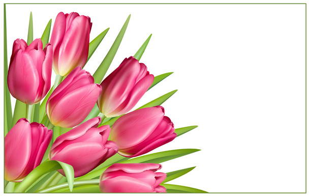 Gift frame with pink tulips - Vektör, Görsel