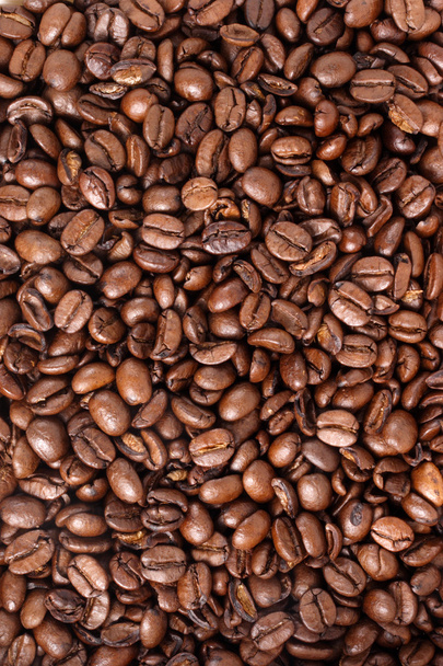 コーヒー豆 - ミディアム - 写真・画像