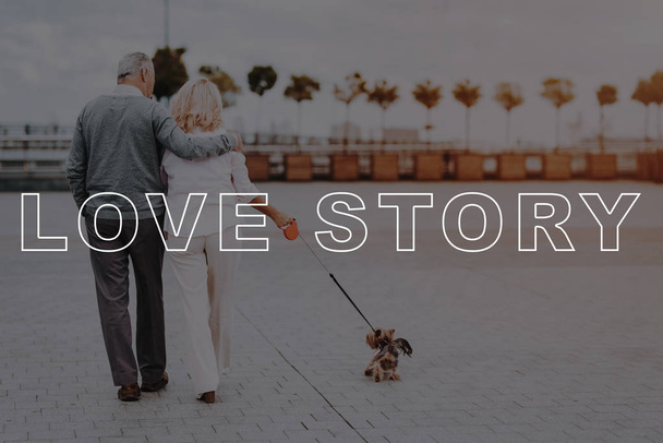 Bubbly Relationships. Old Couple. Little Dog. Sweet Moments. Happy Together. Two Pensioners. Walk. Love Story. Beautiful Square. Sun. Elderly Man. Woman. Retired. Leisure Time. Have Fun. - Foto, Imagen