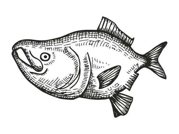 fish hand drawing vector. vintage insulated element. - Vector, Image