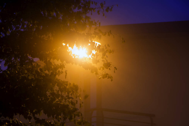 Misteriosa scena notturna astratta con lampione che brilla tra i rami degli alberi di fronte all'edificio
 - Foto, immagini