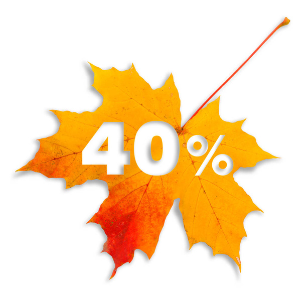 Venda de outono - 40%. Folha de bordo colorida com texto sobre fundo branco
. - Foto, Imagem