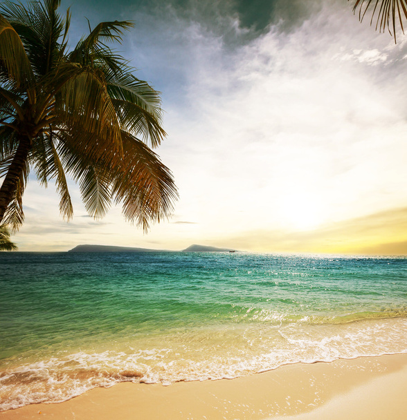 Tropischer Strand - Foto, Bild
