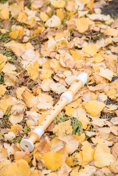 Musical tuuli väline huilu sijaitsee syksyllä keltainen lehdet
 - Valokuva, kuva
