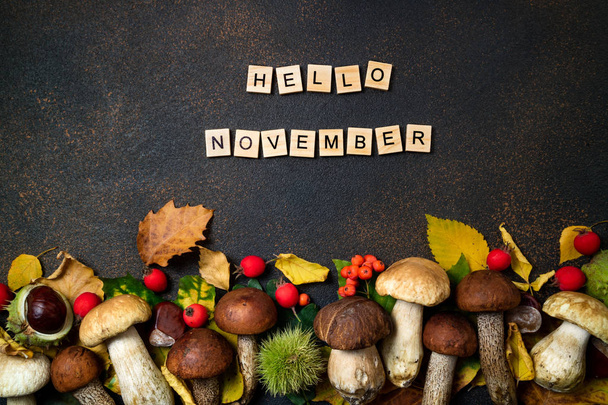 Hello November card. Mushrooms Boletus, chestnuts, wild berries, rowan and Autumn leaves background. Autumn composition. Fall season mood. Top view - Photo, Image