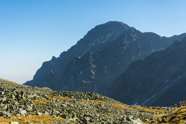 Summit - Slavkovsky stit (Slawkowski Szczyt). A popular destination for mountain trips. - Foto, immagini