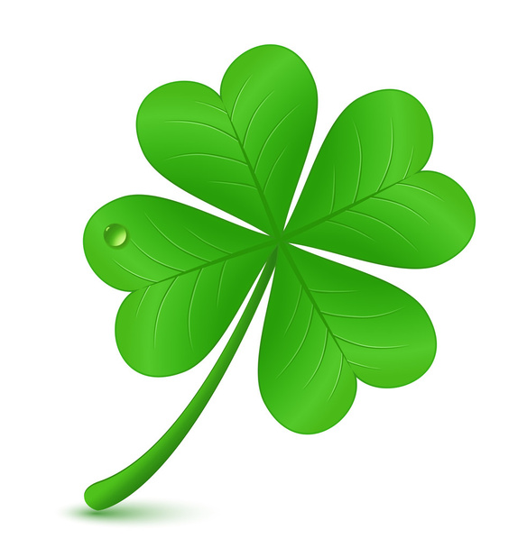 Dört yapraklı yonca. St. Patrick'ın gün sembolü - Vektör, Görsel