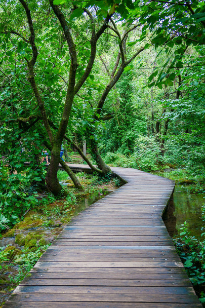 schöner Holzweg im grünen Nationalpark Krka, Kroatien - Foto, Bild