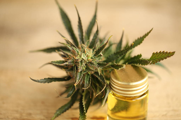 Marihuana medizinische Erholung Cannabisöl cbd - Foto, Bild