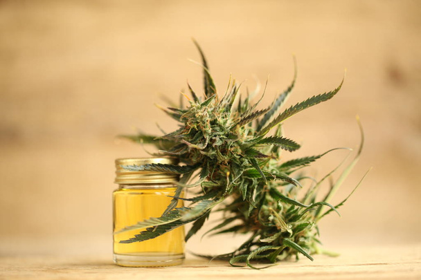 marihuana medicinal recreación cannabis aceite cbd
 - Foto, imagen