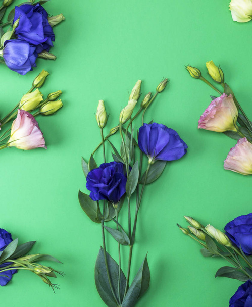 fresh blooming flowers Eustoma Lisianthus on green paper background, top view - Foto, Imagen