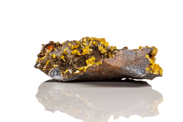 Makro ásványi kő sárga wulfenit, a fehér háttér közelről - Fotó, kép