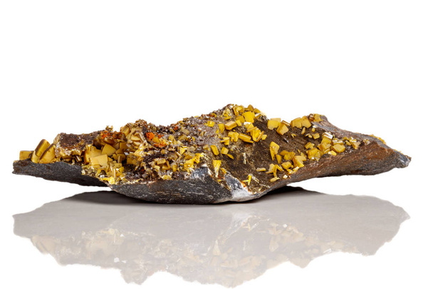 Macro piedra mineral amarillo wulfenita sobre un fondo blanco de cerca
 - Foto, Imagen