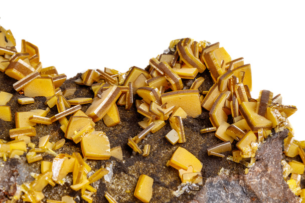 Macro mineral stone yellow Wulfenite on a white background close-up - Photo, Image