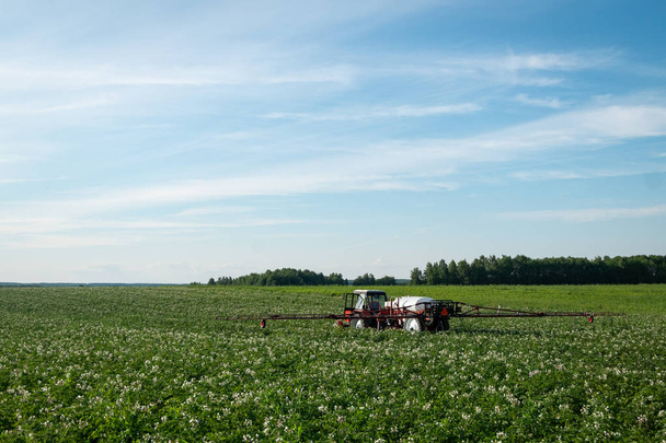 piros traktor permetezőgép során a növények kémiai kezelés terén - Fotó, kép