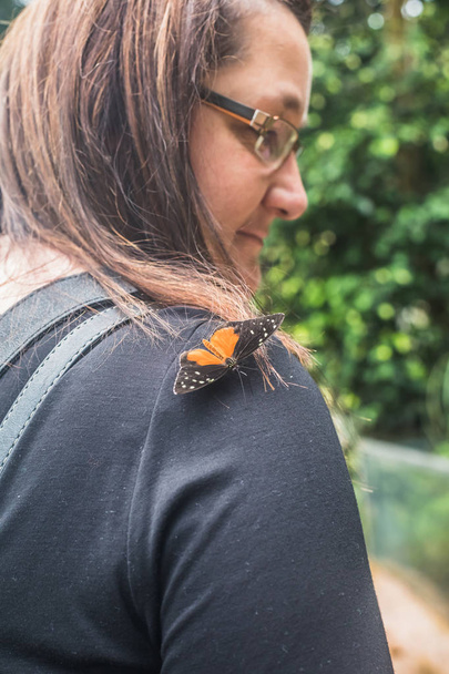 Mujer mira a su hombro donde una mariposa está sentada, Suiza
 - Foto, imagen