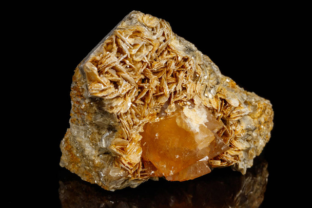 Macro Mineral Stone Sheelit em um fundo preto de perto
 - Foto, Imagem