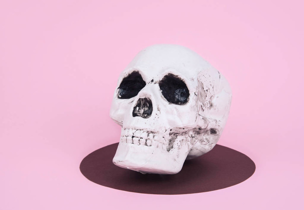 Skull on trendy pastel pink background. - Zdjęcie, obraz